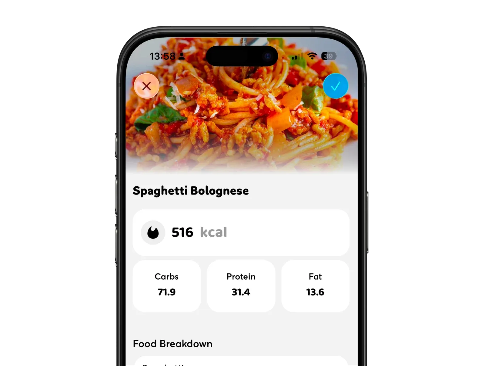 AI analysis of a meal from a photo
